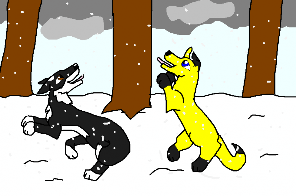 A gental snowfall