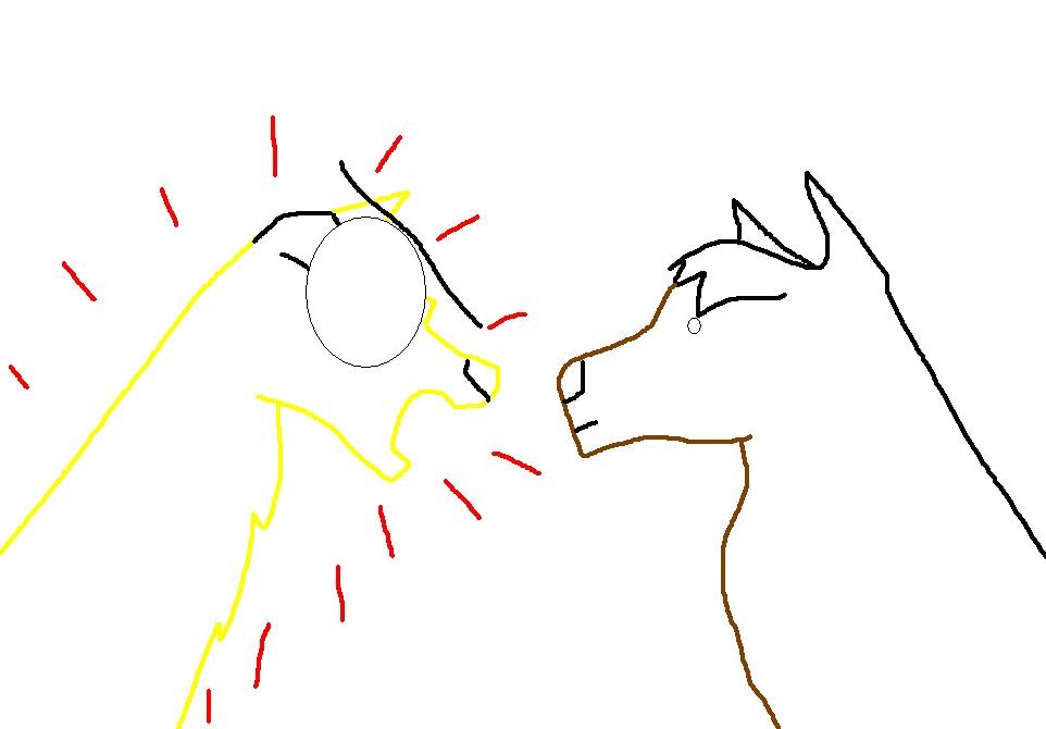 Angel and Rose's spat