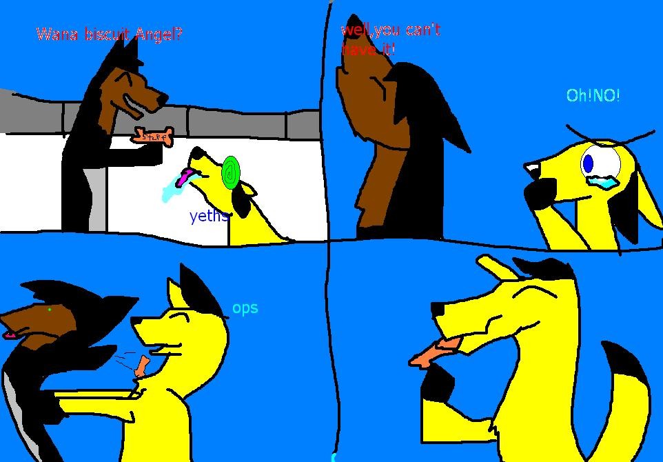 dog treat