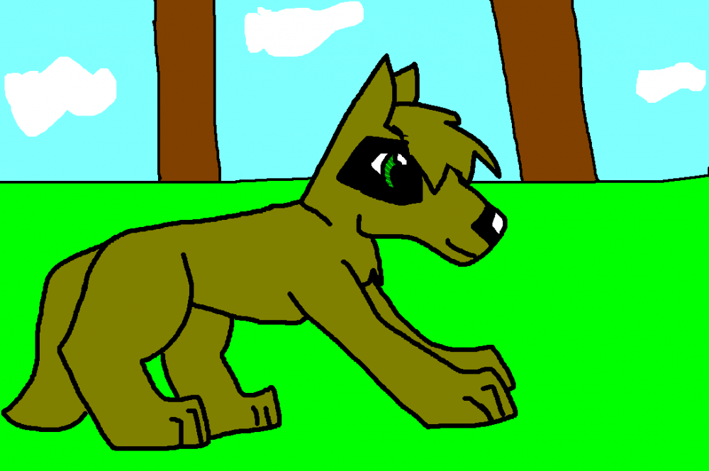 Shade as a puppy