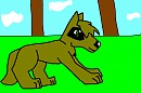 Shade as a puppy