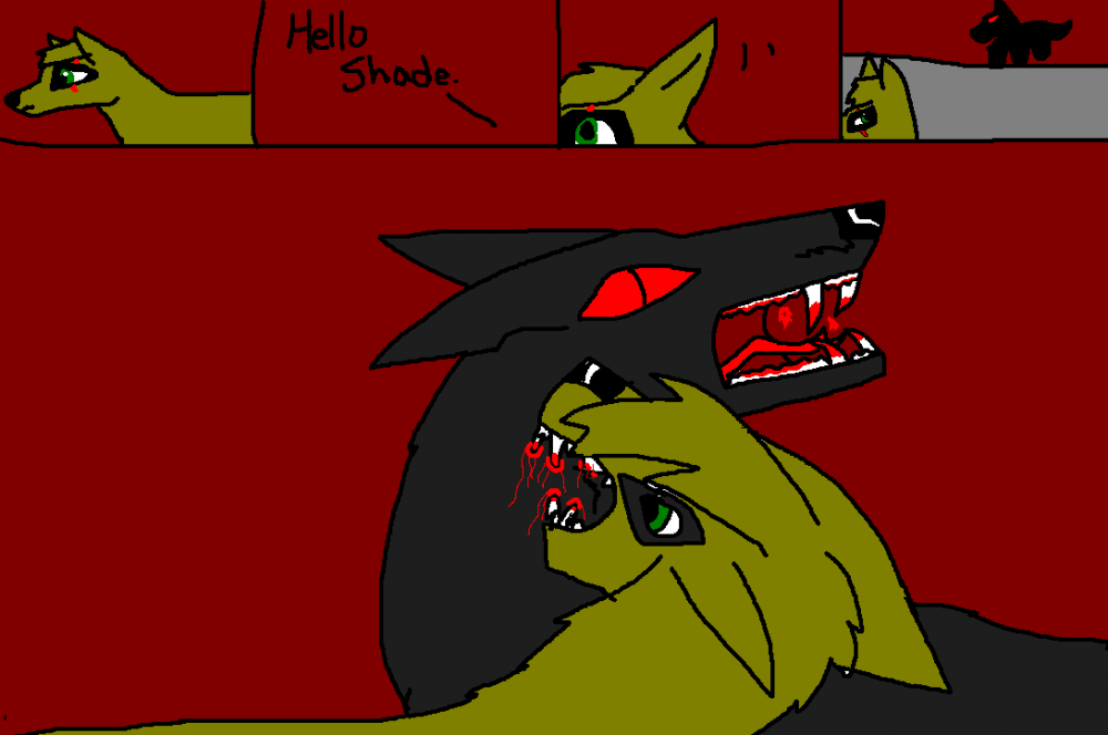 Bloody battle