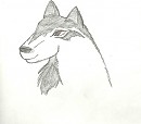 Feathertail Ref.