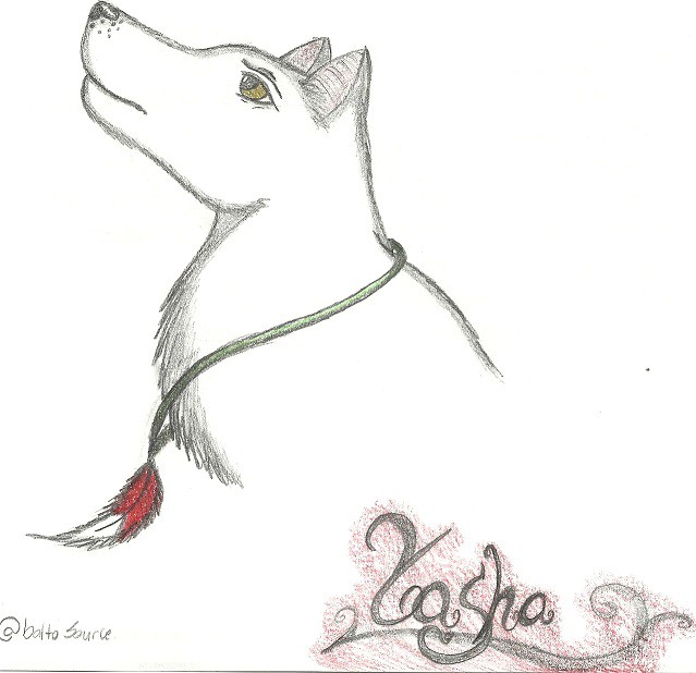Yasha Ref.