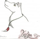 Yasha Ref.