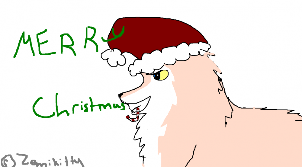 Have a merry christmas