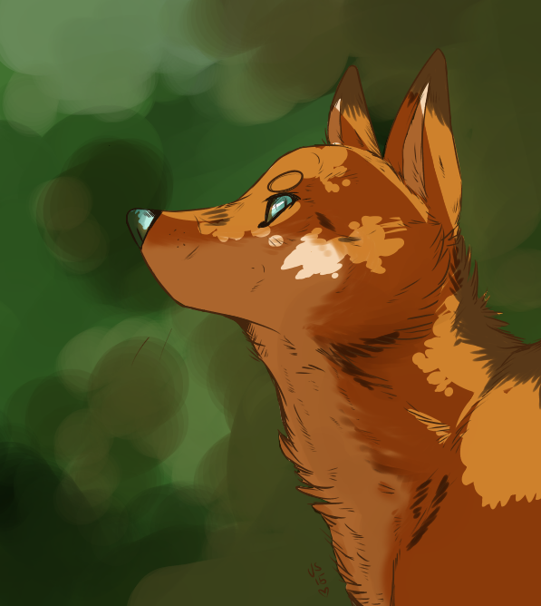 vixen.