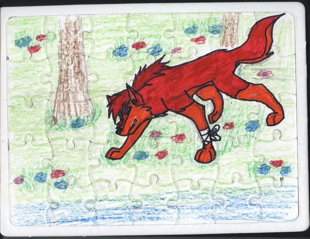 Hakim's puzzle