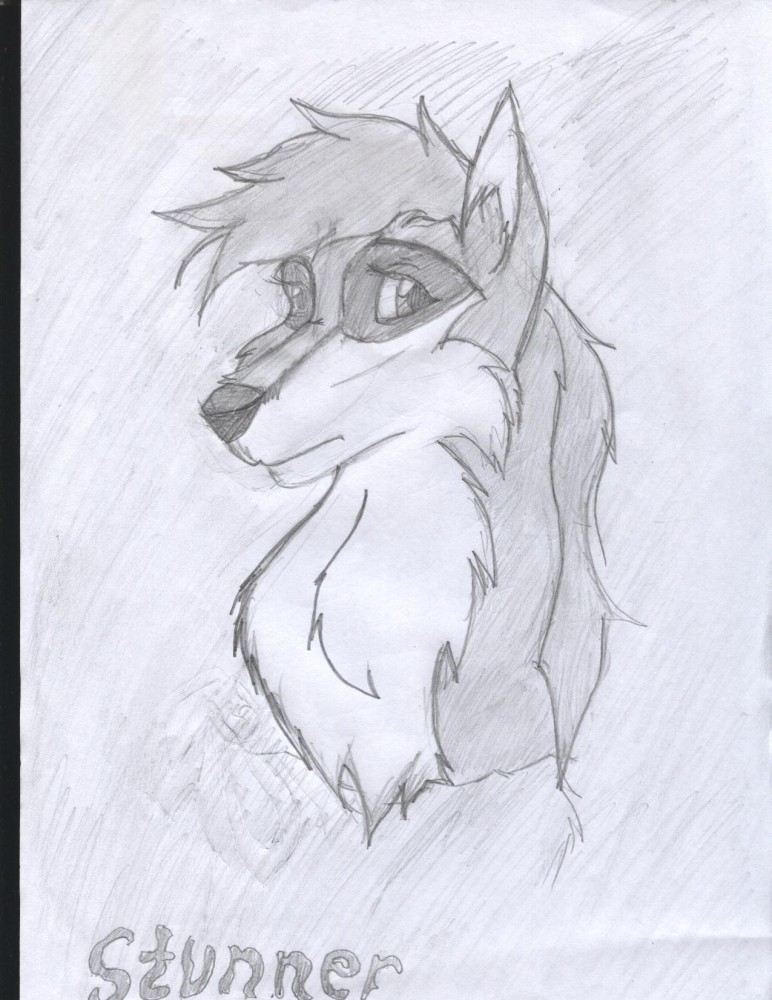 Stunner's portrait 