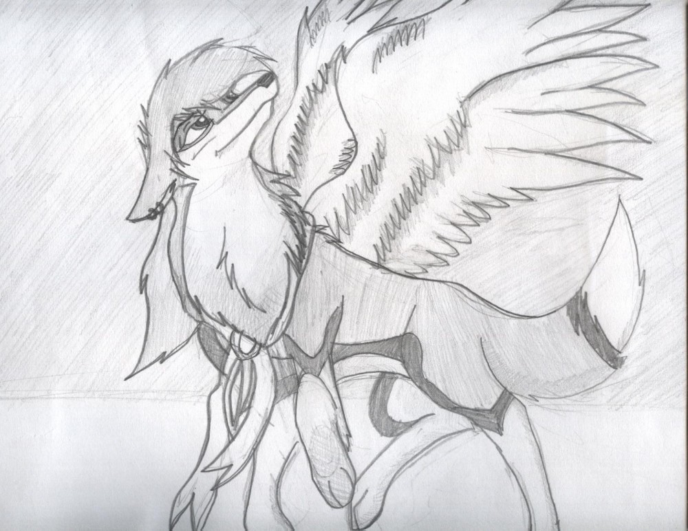 Wings