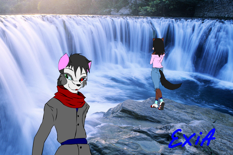 The Waterfall