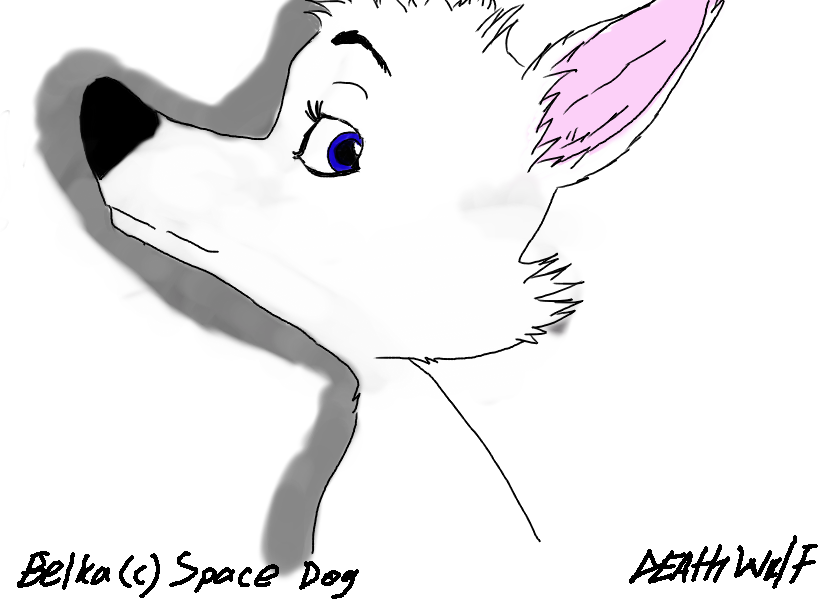 Belka from Space Dog