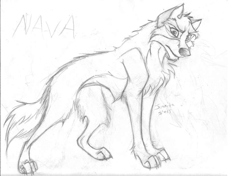 Nava