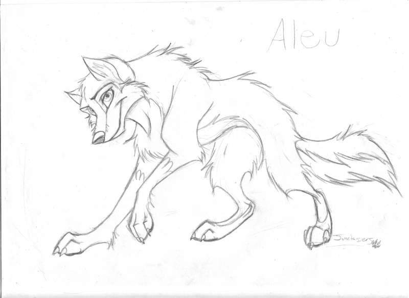 Aleu