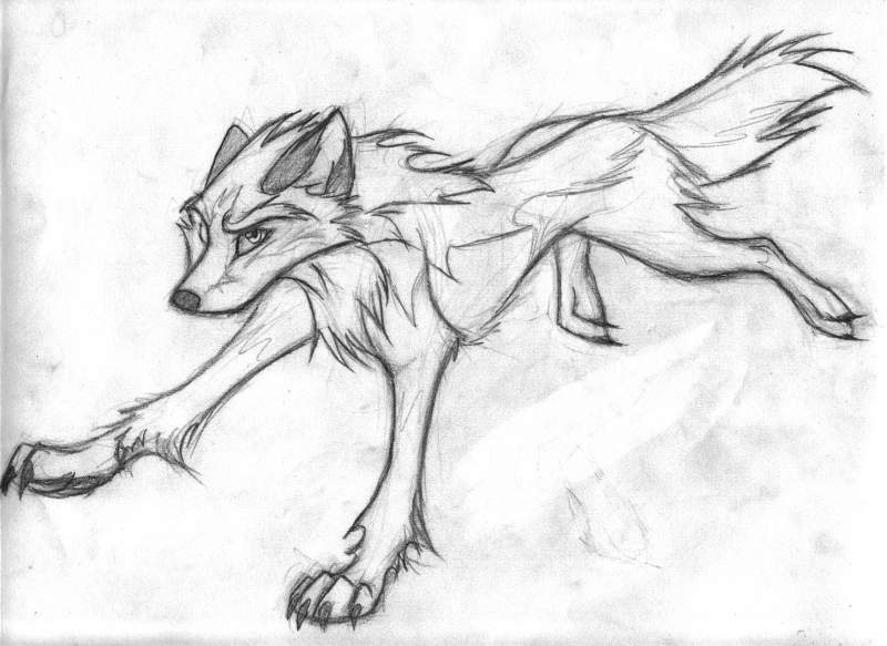 runing wolfy