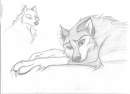 Aleu is not alone