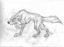 Balto sketch