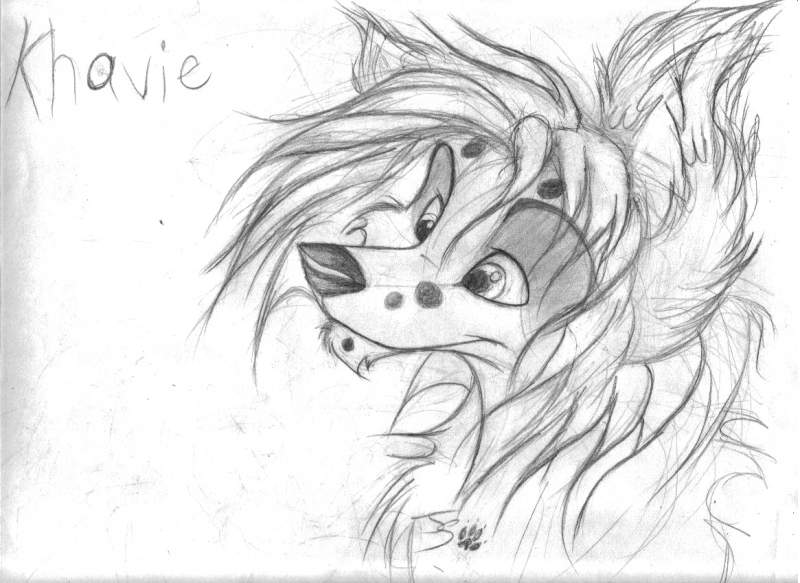 Kahvie fan drawing