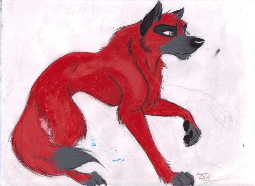 Lady