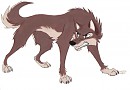 wolfdog