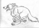 running wolf