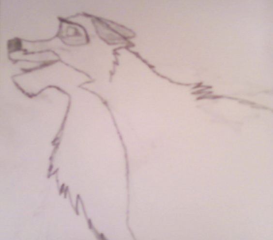 Balto