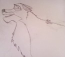 Balto