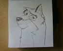 Balto Again