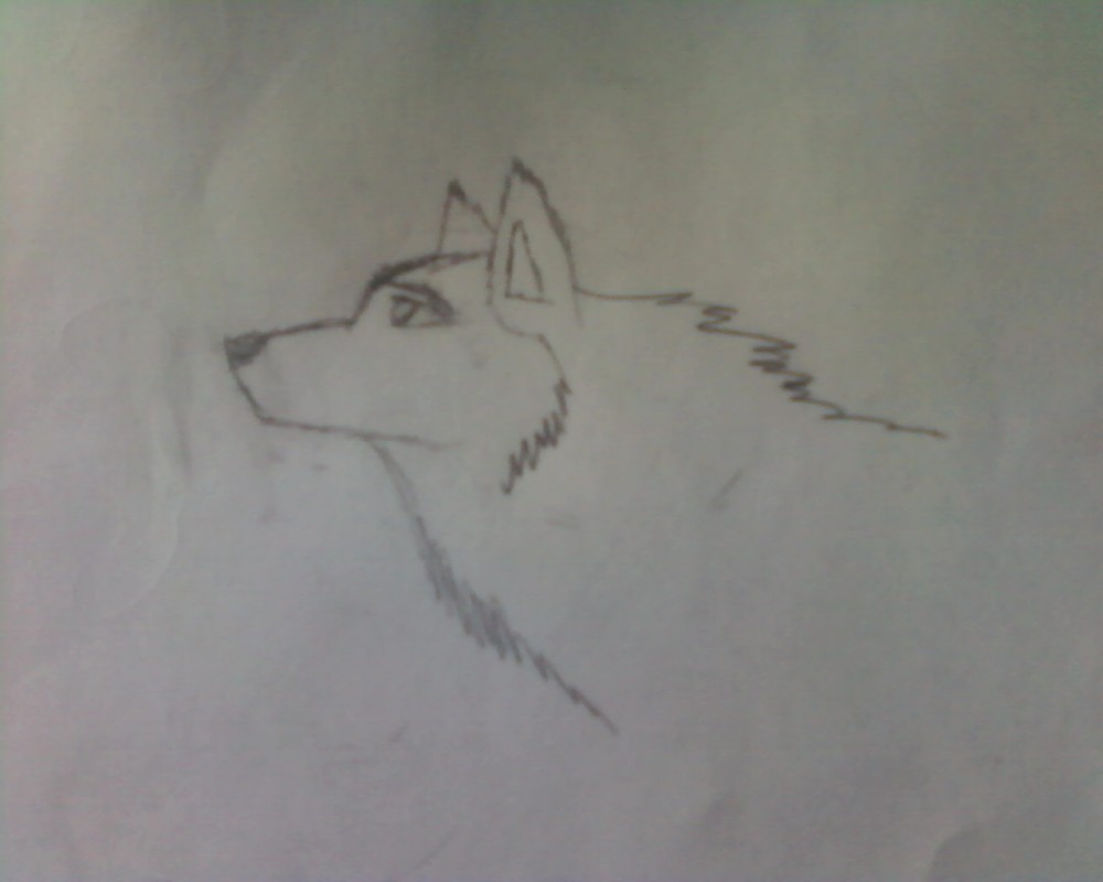 Comeback Drawing