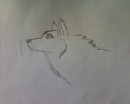 Comeback Drawing
