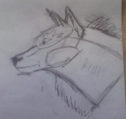 My first Drawing