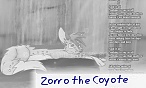 Zorro the Coyote