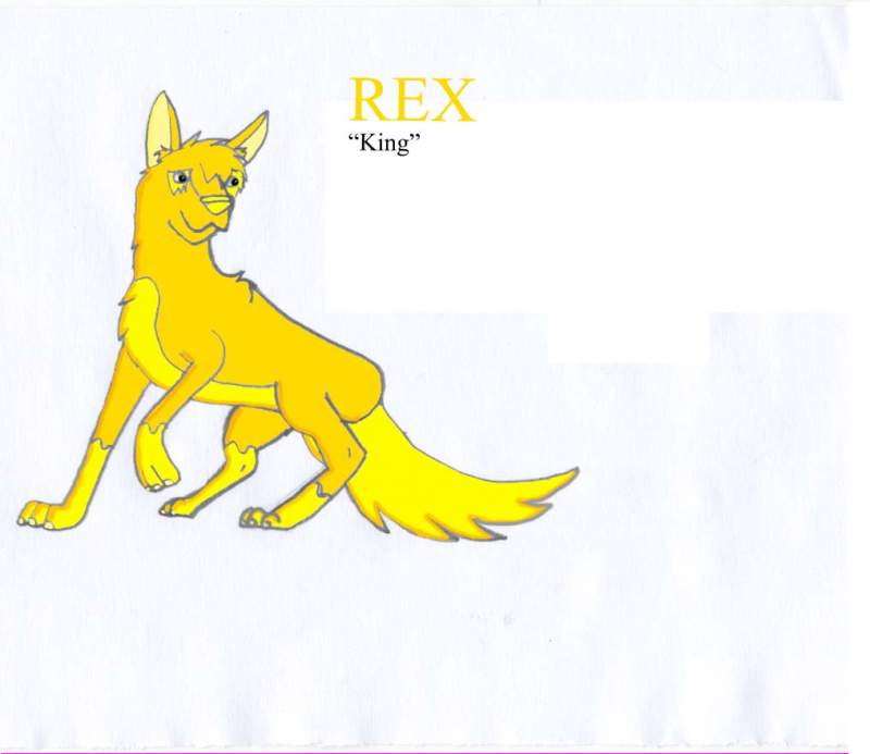 Rex