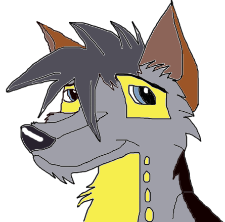 Coloured Animation