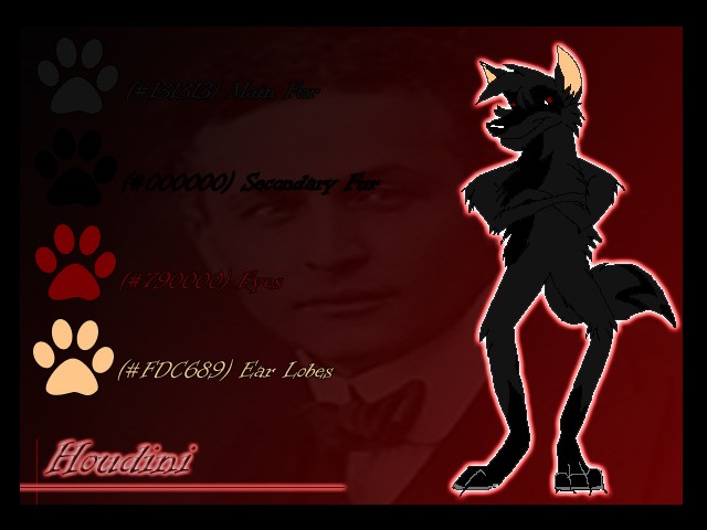 Offical Houdini Character Sheet