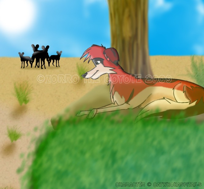 An Outcast of Africa
