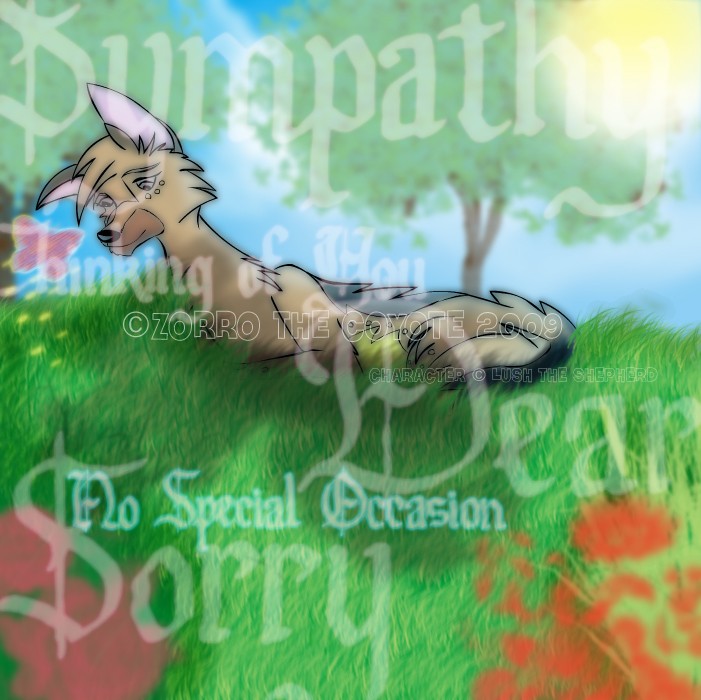 No Special Occasion