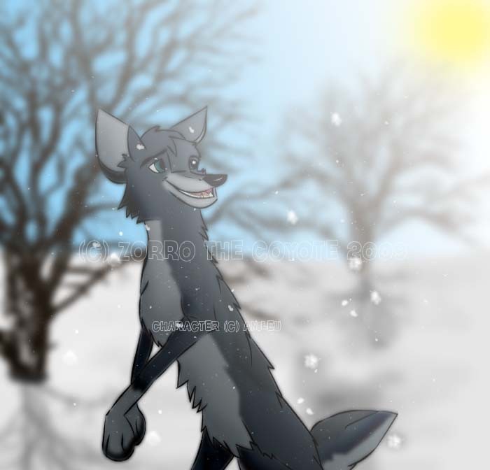Anileu Request   Video Draw