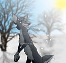 Anileu Request   Video Draw