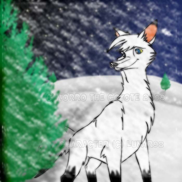 Request for Lunar98