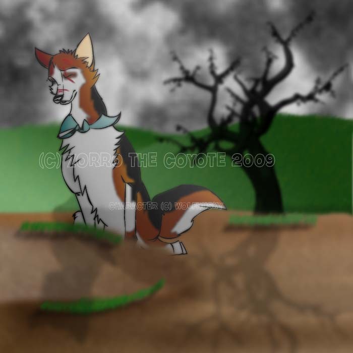 Request 3