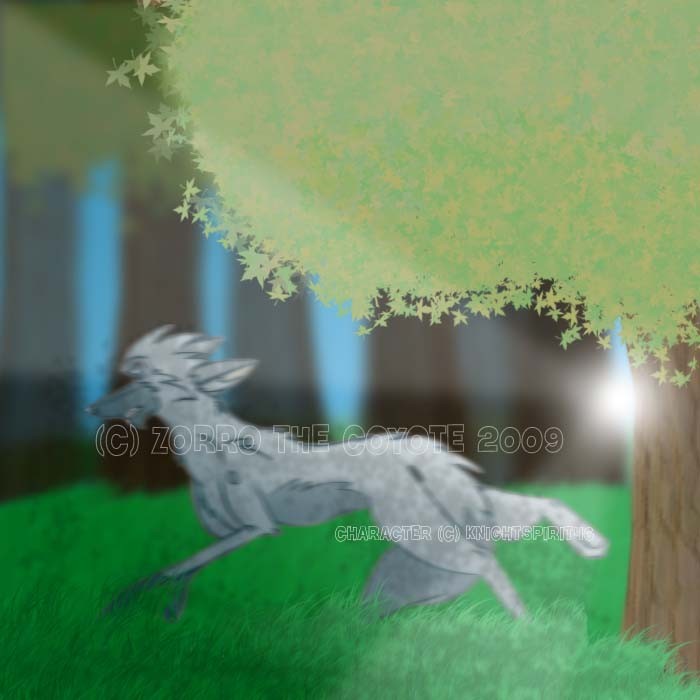 Request 4