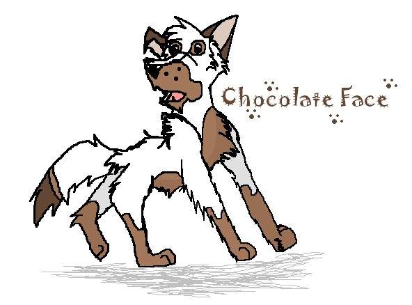 Chocolate Face