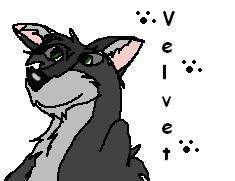 Velvet-Loz