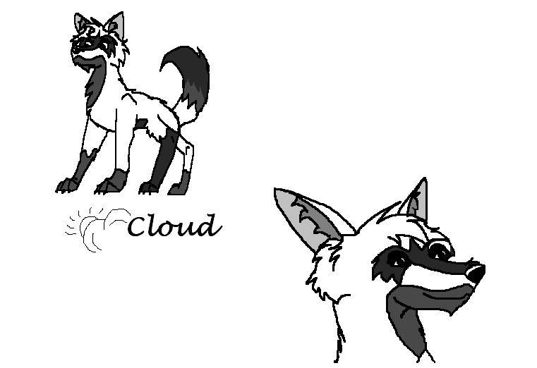 Cloud