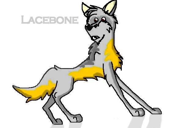 Lacebone