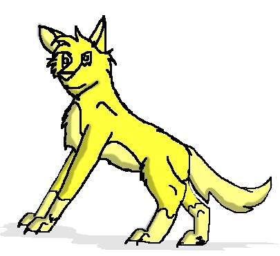 Rex as a puppy