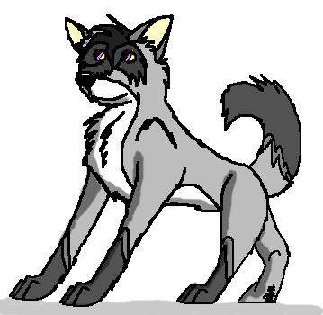 Husky