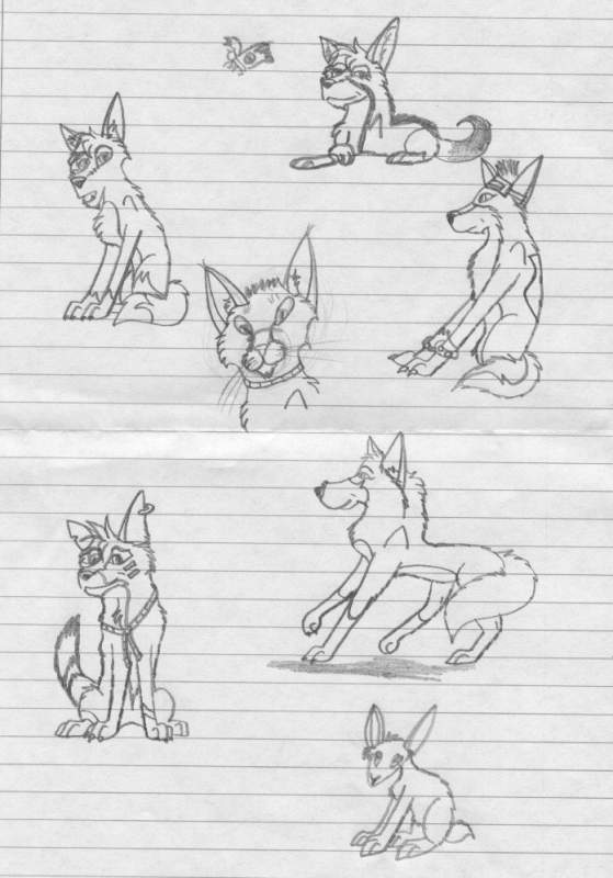 Doodle Dump