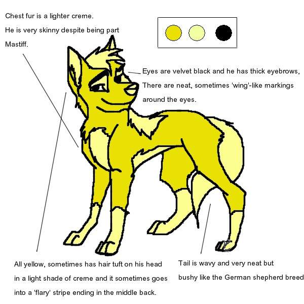 Rex Character Sheet